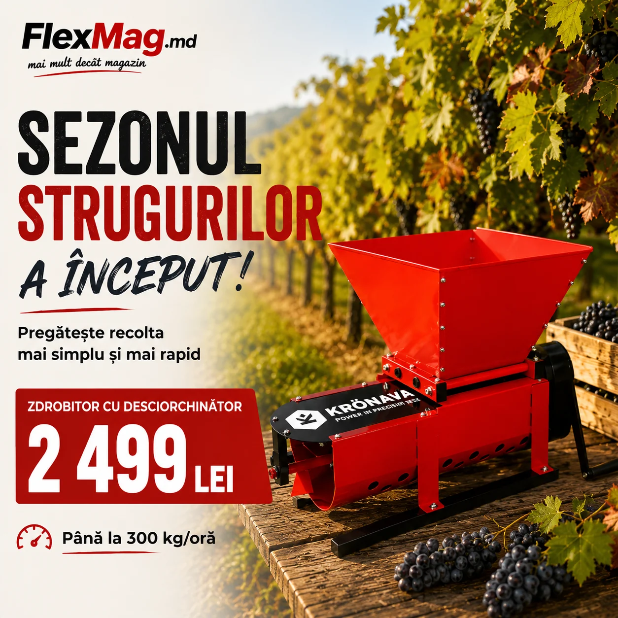  flexmag.md