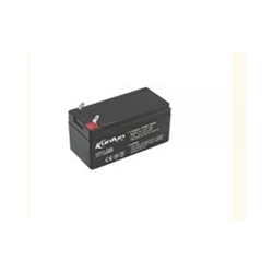 Acumulator pentru stropitoare TechnoWorker 12V12AH flexmag.md