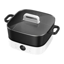 Aparat de gatit multifunctional Xiaomi Hot Pot Negru - Alb flexmag.md