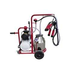 Aparat de muls vaci cu vacuum extern Vepemir 30L PL IN (6401-15) flexmag.md