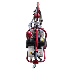 Aparat de muls vaci cu vacuum extern Vepemir 40L IN IN (1081-08) flexmag.md
