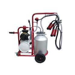 Aparat de muls vaci cu vacuum extern Vepemir 40L PL AL (7622-08) flexmag.md