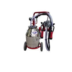Aparat de muls vaci Vepemir (1 post-1 bidon 30l Inox) 16693-15 flexmag.md