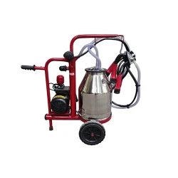 Aparat de muls vaci Vepemir (1 post-1 bidon 30l Inox) 16693-15 flexmag.md