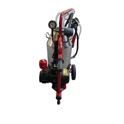 Aparat de muls vaci Vepemir (1 post-1 bidon 40l Inox) 32617-08 flexmag.md