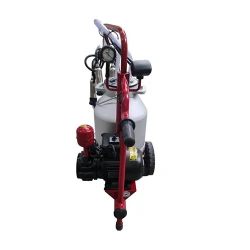 Aparat de muls vaci Vepemir (1 post Inox-1 bidon 30l) 16690-15 flexmag.md