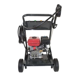Мойка высокого давления на бензине Elefant PPW190A flexmag.md