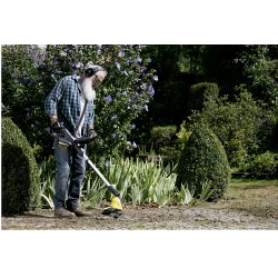 Устройство для удаления сорняков на аккумуляторе Karcher WRE 18-55 Battery flexmag.md