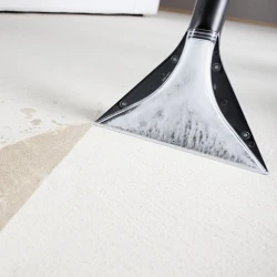 Пылесос промышленный с функцией мытья Karcher SE5.100 flexmag.md