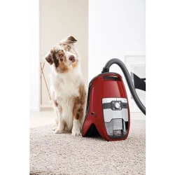 Пылесос Miele Blizzard CX1 Cat&Dog Powerline flexmag.md