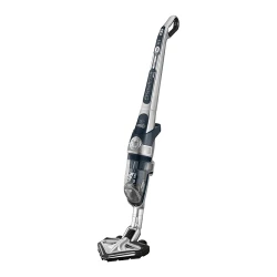 Aspirator ROWENTA RH8970WO flexmag.md