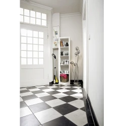Вертикальный влажный пылесос Karcher EWM 2 flexmag.md