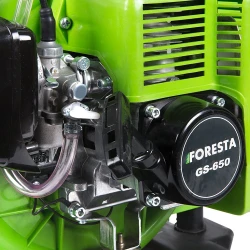 Atomizor cu motor benzina Foresta GS-650 flexmag.md
