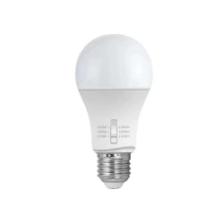 Лампа LED Fumagalli H2LEDA60CCT flexmag.md
