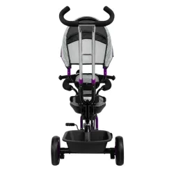 Bicicleta cu trei roti Caretero Buzz Gri 260113 flexmag.md