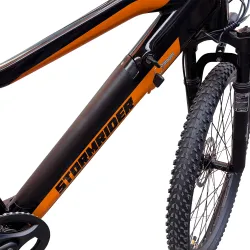 Bicicleta electrica Villager 089683 flexmag.md