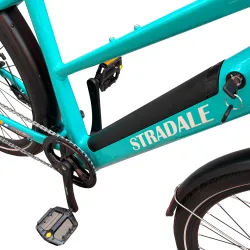 Bicicleta electrica Villager 089685 flexmag.md