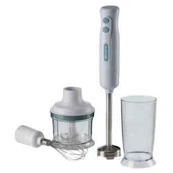 Blender de mana Ariete 0601-1 Alb flexmag.md