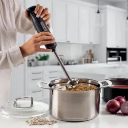 Blender de mana Ariete 0601-1 Negru flexmag.md