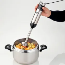 Blender de mana Ariete 898 Otel inoxidabil flexmag.md