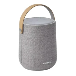 Портативный динамик Harman Kardon Citation 200, серый flexmag.md