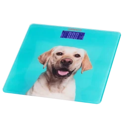 Cantar de podea Ardesto SCB-965DOG, Albastru flexmag.md