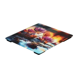 Cantar de podea Ardesto SCB-965LOTUS, Multicolor flexmag.md