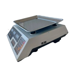 Cantar electronic de masa Rotor 218R flexmag.md