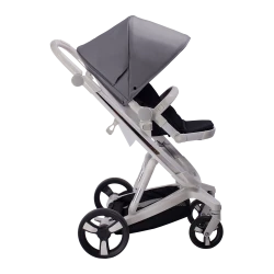 Carucior Bebumi Space 2 in 1, Gray flexmag.md