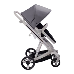 Carucior Bebumi Space 2 in 1, Gray flexmag.md