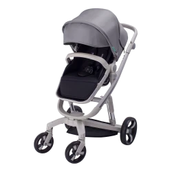 Carucior Bebumi Space 2 in 1, Gray flexmag.md