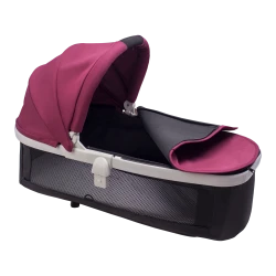Carucior Bebumi Space 2 in 1, Ruby flexmag.md