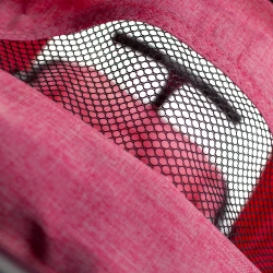 Carucior Bebumi Sport Eco, Pink flexmag.md