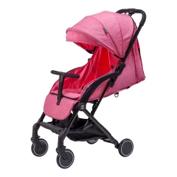Carucior Bebumi Sport Eco, Pink flexmag.md