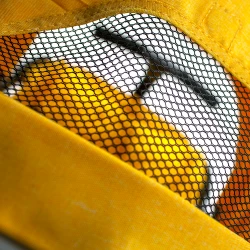 Carucior Bebumi Sport Eco, Yellow flexmag.md