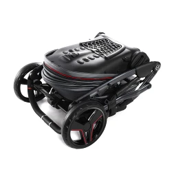 Carucior Junama S-Class 06 Grey-Red flexmag.md