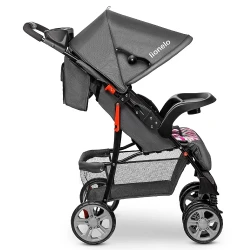 Carucior Lionelo Emma Plus Pink Scandi flexmag.md