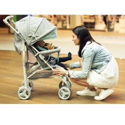 Carucior Lionelo Irma Grey Mint  flexmag.md