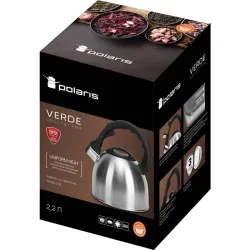 Ceainic Polaris Verde Argintiu flexmag.md