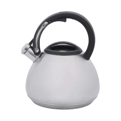 Чайник RESTO 90603, 2,7 л, нержавеющая сталь flexmag.md