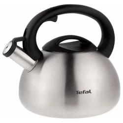 Ceainic Tefal C7921024, 2,5L, Argintiu flexmag.md