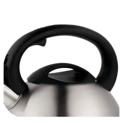 Ceainic Tefal N4180217, 2,5L, Otel inoxidabil flexmag.md