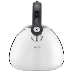 Ceainic Tefal N4180310 Otel inoxidabil flexmag.md