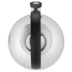 Ceainic Tefal N4180310 Otel inoxidabil flexmag.md