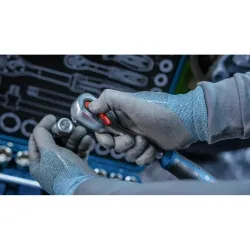 Трещоточный ключ Bosch B1600A03AC8 flexmag.md