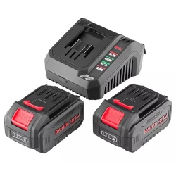 Ciocan rotopercutor cu acumulator Ronix 8910-40V flexmag.md