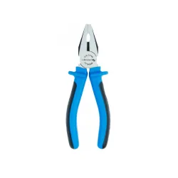 Cleste patent Hoegert HT1P008 flexmag.md