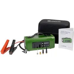 Compresor auto Platinet PMPBTP152 Verde flexmag.md