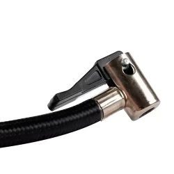 Compresor auto Ronix RH-4262 flexmag.md
