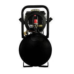 Компрессор Becker C52 flexmag.md